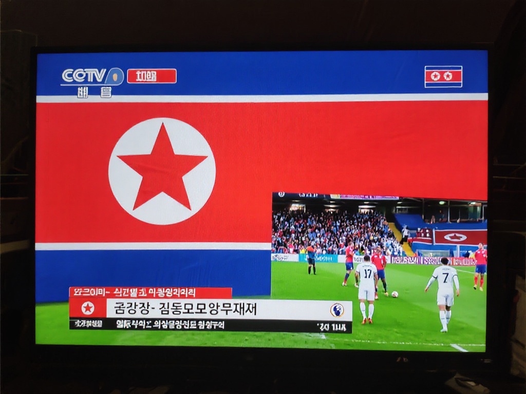 年的决赛 年的决赛